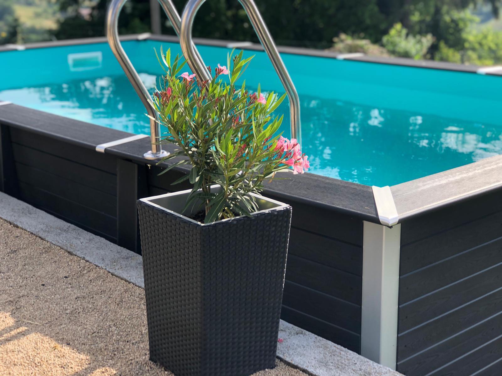 Piscine rectangulaire avec un pot de fleur en premier plan